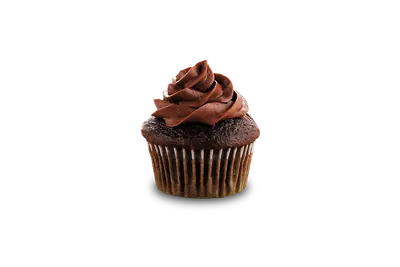 Chocolate cupcake Romero's Pizza 900 W Randolph St, Chicago, IL 60607 photo