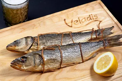 Сібас провісний  Veladis undefined фото