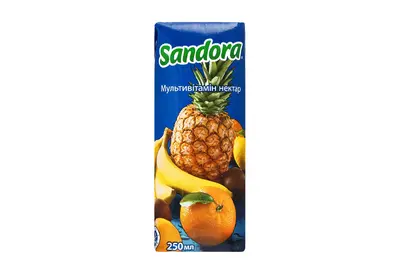 Сік мультивітамін Sandora 0,25 л Sushi Master undefined фото