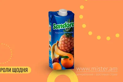 Сік мультивітамін Sandora 0,5 л We Sushi undefined фото