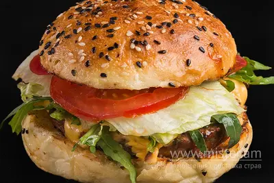 Бургер свинина / дор блю Grill Pub undefined фото
