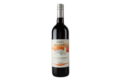 Вино "Terra Italianika" червоне напівсухе, Італія Альбіон undefined фото