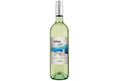 Вино "Terra Italianika" , біле напівсолодке, Італія Альбіон undefined фото