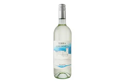Вино "Terra Italianika" біле напівсухе, Італія Альбіон undefined фото