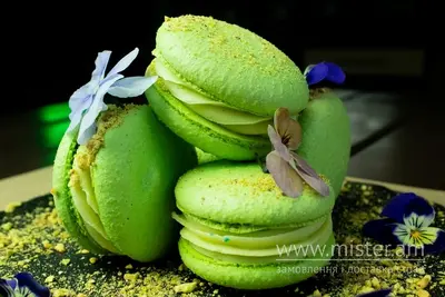 Макарун Птаха undefined фото