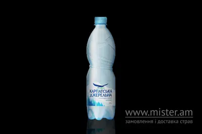 Вода б/г Карпатська Джерельна, 0,5 л EatSushi undefined фото