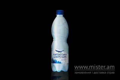 Вода газ Карпатська Джерельна, 0,5 л EatSushi undefined фото