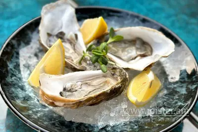 Устриця Фін де Клер Fish Bar undefined фото