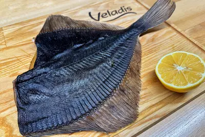 Камбала жовтобрюха Veladis undefined фото