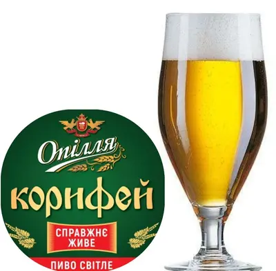 Опілля Корифей Star beer undefined фото