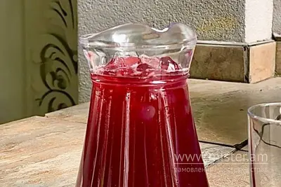 Смородиновий лимонад Dioscuri undefined фото