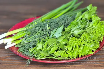 "Зелене пасовисько" Корчма у Вакули undefined фото