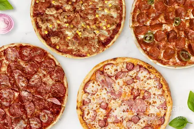 IQ Квартет IQ Pizza undefined фото