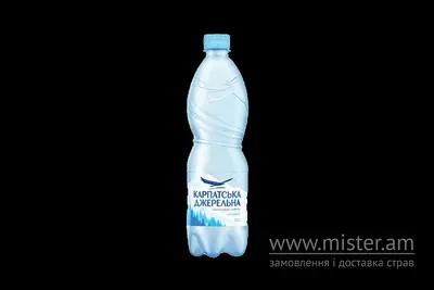 Мінеральна вода "Карпатська Джерельна" Зпідножа undefined фото