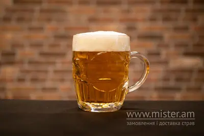 Пиво "Опіля Корифей" 4,2% 1 л Solod undefined фото