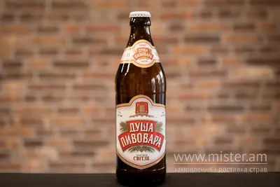 Пиво "Душа Пивовара Світле" 0,5 л Solod undefined фото