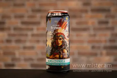 Пиво TM Forever "Amazonka" світле н/ф. 0,5 л Solod undefined фото