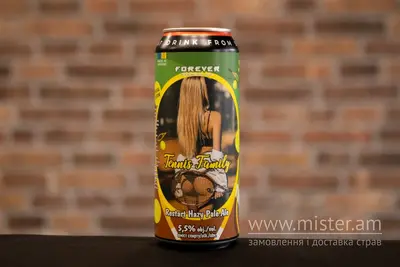 Пиво TM Forever "Tennis Family" світле нефільтроване 0,5 л Solod undefined фото