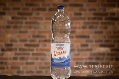 Вода "Опілля" питна сильногаз. 1,5 л ПЕТ Solod undefined фото