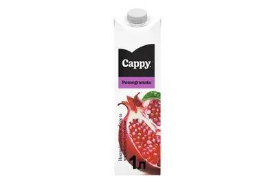 Нектар Cappy із гранатів, яблук та чорноплідної горобини Отакої undefined фото
