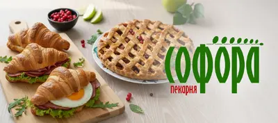 Софора в Чернівцях