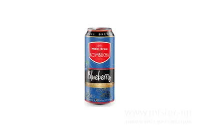 Комбуча "Blueberry" 0,5 л з/б SOLOD PROSPEKT undefined фото