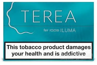 Tbeh Terea Turquoise Beer&Wine undefined фото