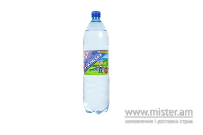 Мінеральна вода "Лужанська" 1,5л сильногазована "Питна Вода" undefined фото