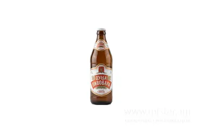Пиво світле "Душа Пивовара світле" 0,5 л SOLOD PROSPEKT undefined фото