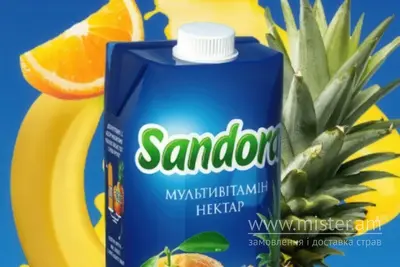 Сік "Sandora" мультивітамін Papa Gyros undefined фото