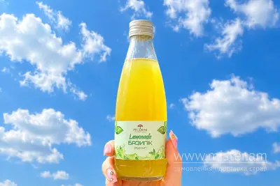 Лимонад Базилік Pecorini undefined фото