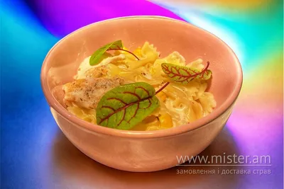 Метелики з куркою та овочами Trattoria undefined фото