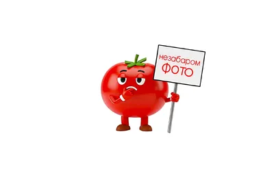 Свинина у булочці БАО Pomodoro•Sushi360 undefined фото