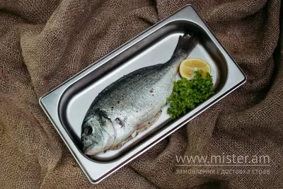 Дорадо н/ф Dioscuri undefined фото