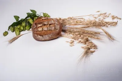Хліб "Житній" Ciabatta undefined фото
