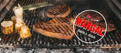 MANGAL в Житомирі