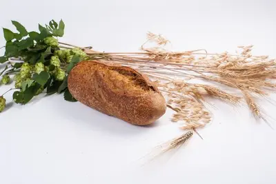 Хліб з томатами Ciabatta undefined фото